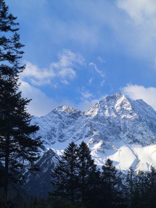 《服务器迁移的“隐形陷阱”：这5大弊端可能让你损失惨重！》