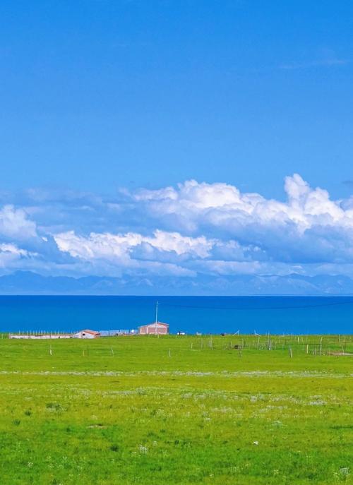 《服务器卡顿？一条命令让它“满血复活”！》